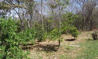 Imagem 2: Chácaras de 2.500m², com água de poço artesiano e energia elétrica, em São José da Serra