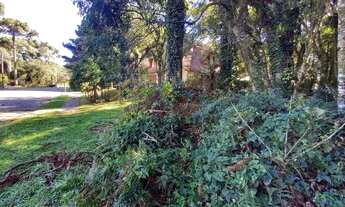 Imagem 6: Terreno à Venda em Canela!