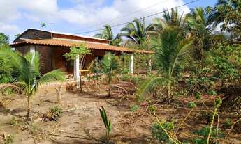 Imagem 6: Vende-se chácara 150,000