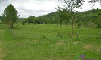 Imagem 6: AREA - PARQUE SANTA ROSA - SP