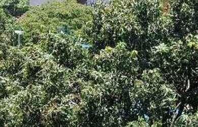 Imagem 3: Cobertura à venda, 4 quartos, 4 suítes, 4 vagas, São José - Belo Horizonte/MG