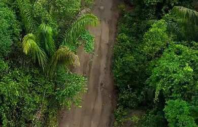 Imagem 2: OPORTUNIDADE ÚNICA - 740.000 m² COM VISTA PARA O RIO TARUMÃ - MANAUS/AM