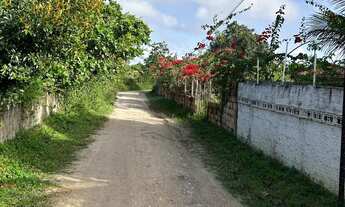 Imagem 4: Chácara colônia sapé