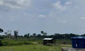 Imagem 5: Fazenda na br174 km185,zona rural de Presidente Figueiredo