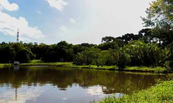 Imagem 5: Chácara a venda em São José dos Pinhais