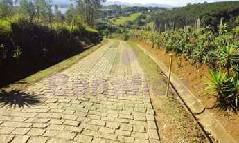 Imagem 3: Terreno Residencial à venda, Jardim Ypê, Piracicaba - TE0668