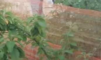 Imagem: Vendo barracão ótima oportunidade, valor