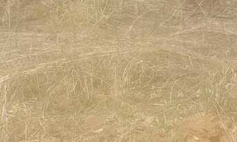 Imagem: Chacaras na região di jardim mateus leme