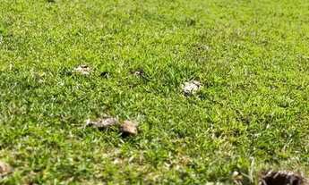 Imagem 2: Venha morar em Atibaia ! 10