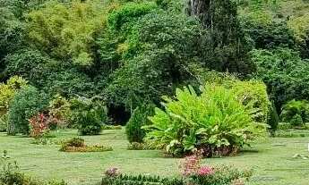 Imagem: Jazigo Perpétuo no Cemitério Parque da