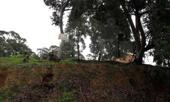 Imagem 3: Terreno à venda em São Paulo-SP, bairro Parque dos Príncipes, 494m² de área. Imperdível op