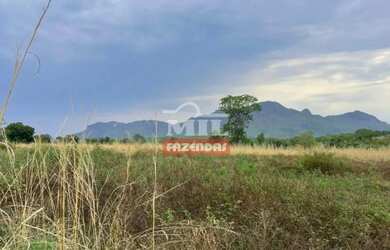 Imagem 2: Fazenda 154 alqueires (745,36 hectares) Colinas Do Sul - Go