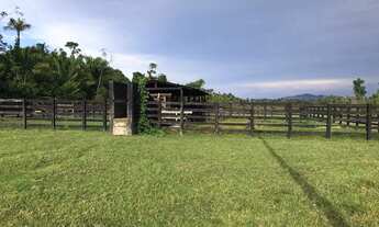 Imagem 7: Vende-se Fazenda - Iracema - RR