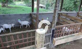 Imagem 7: Sítio à venda, 64000 m² por R$ 399.000,00 - Reginópolis - Silva Jardim/RJ