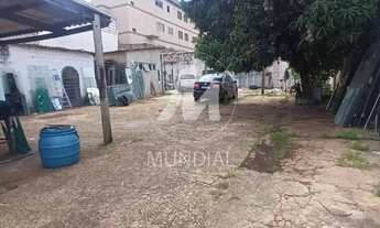 Imagem 3: Salão/Galpão (salão - térreo