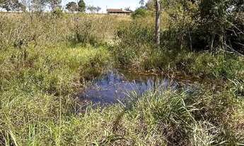 Imagem 7: Chácara em Uruita Chácara à Venda, 12450.00 por R$ 895500.00 IN32266