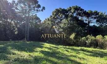 Imagem 3: Lindas chácaras em Fazenda Souza