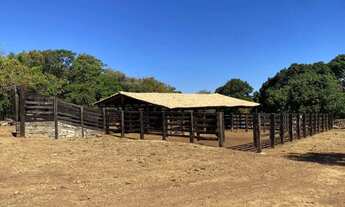 Imagem 4: FAZENDA NO MUNICIPIO DE PALMAS