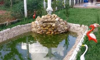 Imagem: Chácara em Mirassol