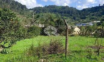 Imagem 3: Amplo Terreno à venda no centro de Boa Vista do Sul