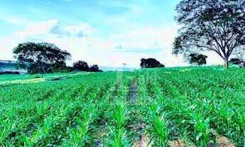 Imagem 4: EXCELENTE Sitio com 30 alqueires na região de Cajuru-SP