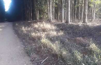 Imagem 2: Terreno residencial à venda em tanquã, são pedro