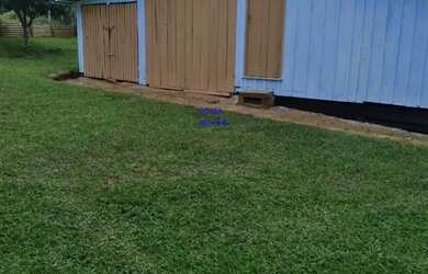 Imagem 7: CHÁCARA 12 MIL M² CONTENDA DOCUMENTOS OK. ESCRITURA E REGISTRO, PLANTIO LAVOURA FRENTE PAR