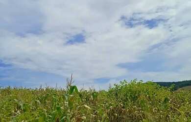 Imagem 3: Lotes de 1000m² em Ibiúna Direto para Quem Busca Espaço