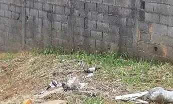 Imagem 5: Excelente terreno em local privilegiado