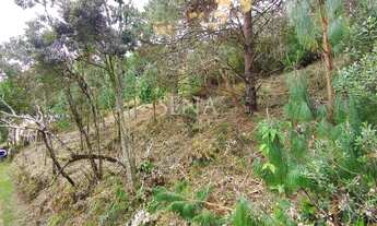 Imagem 5: Terreno / Venda Terreno / lote com venda por R$300.000