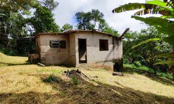 Imagem 3: Terreno 11mil qm com casinha pomar e floresta