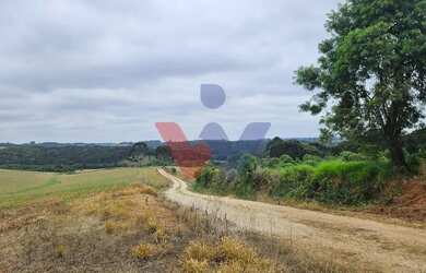 Imagem 6: Fazenda com 70 alqueires, casa, rio e lago a 8 km da BR-476 Aberta a negociação