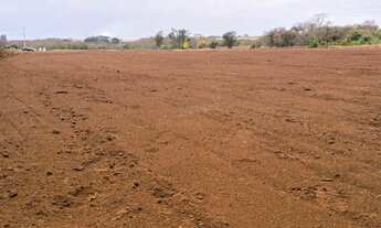 Imagem: Terreno distrito industr Sertãozinho 22210m2