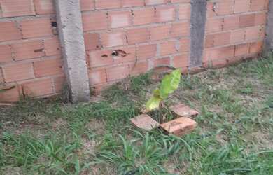 Imagem 4: Venda de uma casa com 10 comodos