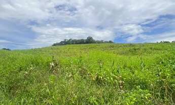 Imagem 5: Lotes para venda com 1000 metros quadrados em Colégio - Ibiúna - SP