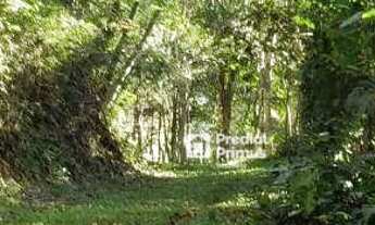 Imagem 4: Terreno à venda, 1610 m² por R$ 220.000,00 - Parque Dom João VI - Nova Friburgo/RJ