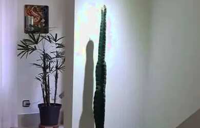 Imagem 7: Sobrado em Travessa Campinas - Vila Assunção - Santo André/SP