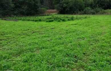 Imagem 6: Sítio em Morro Calçado - Morro Calçado - Canela/RS