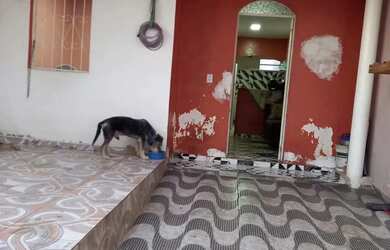 Imagem 6: CASA NO MONTE DAS OLIVEIRAS