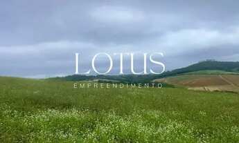 Imagem 6: 86c- COTIA LOTES PLANOS PERFEITO PARA SUA CASA