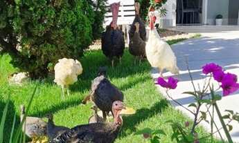 Imagem 7: Lote Jardim Veridiana >> 1.034m2