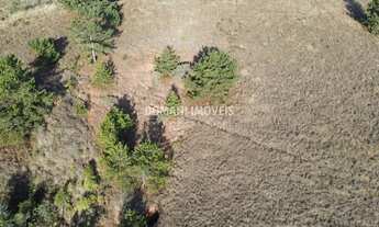 Imagem 4: Terreno à Venda na Região de Descansópolis - Campos do Jordão/SP