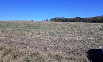 Imagem 3: Área de Lavoura para Venda, Toda Mecanizável não Aceita Permuta