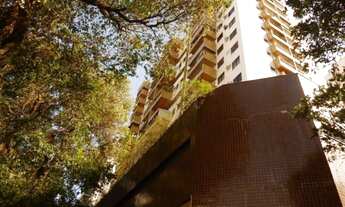 Imagem: Vendo Excelente apartamento com 3 quartos(sendo