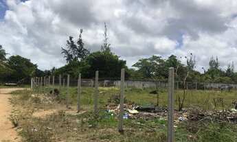 Imagem 2: Excelente terreno em pium 911m2