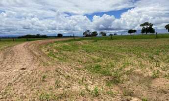 Imagem: Oportunidade Fazenda Ponte Branca !!!