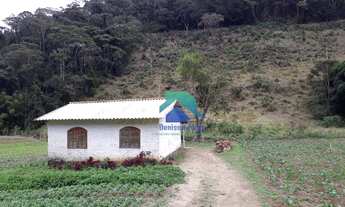 Imagem 6: Excelente Fazenda com pasto alto - Vale Alpino - Teresópolis RJ