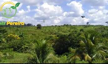 Imagem 3: FAZENDA À VENDA EM PACAJÁ - PA - 2.207,07 HECTARES (DUPLA APTIDÃO