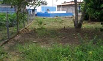 Imagem 5: Chácara desmembrada em lotes em Ponta de Areia, Ilha de Itaparica