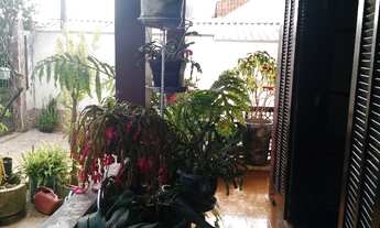 Imagem 6: Casa - Jardim Cecilia